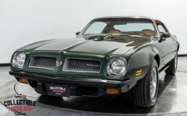 Pontiac-Firebird-1974-Coupe-23