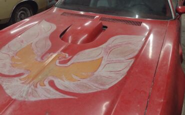 Pontiac-Firebird-1974-Coupe-6