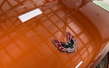 Pontiac-Firebird-1975-Coupe-18