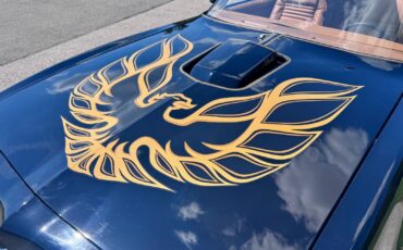 Pontiac-Firebird-1978-Coupe-10