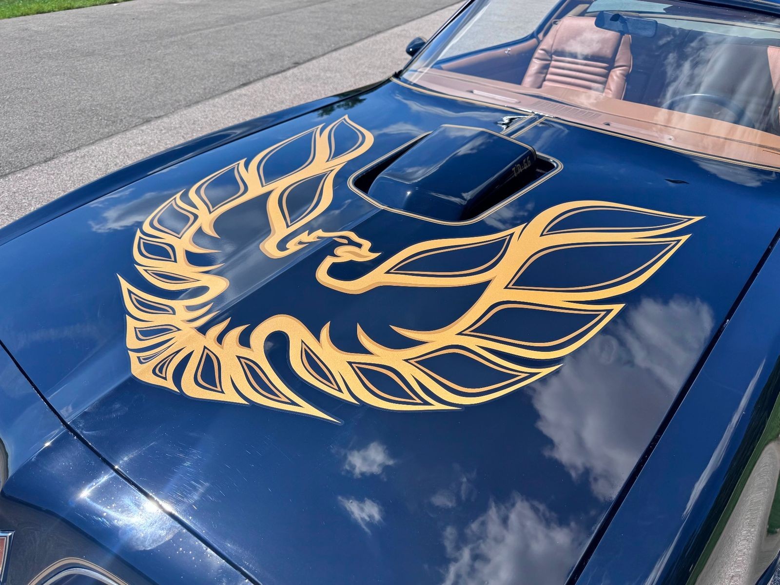 Pontiac-Firebird-1978-Coupe-10
