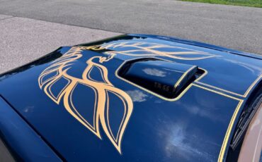 Pontiac-Firebird-1978-Coupe-11