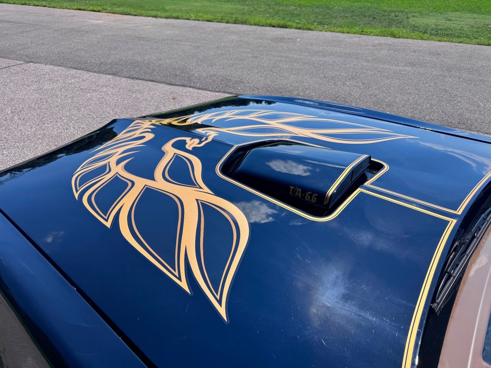 Pontiac-Firebird-1978-Coupe-11