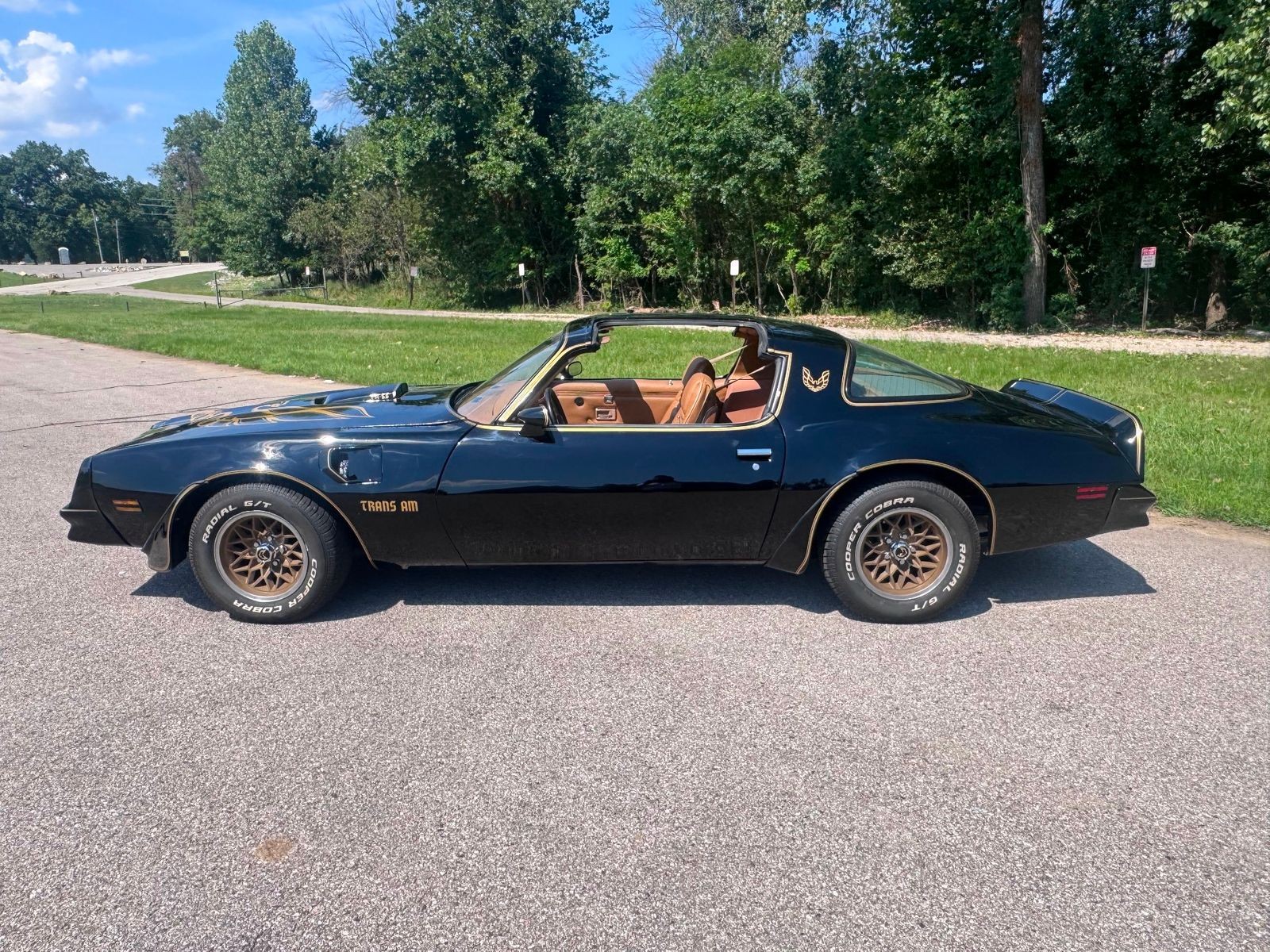 Pontiac-Firebird-1978-Coupe-2