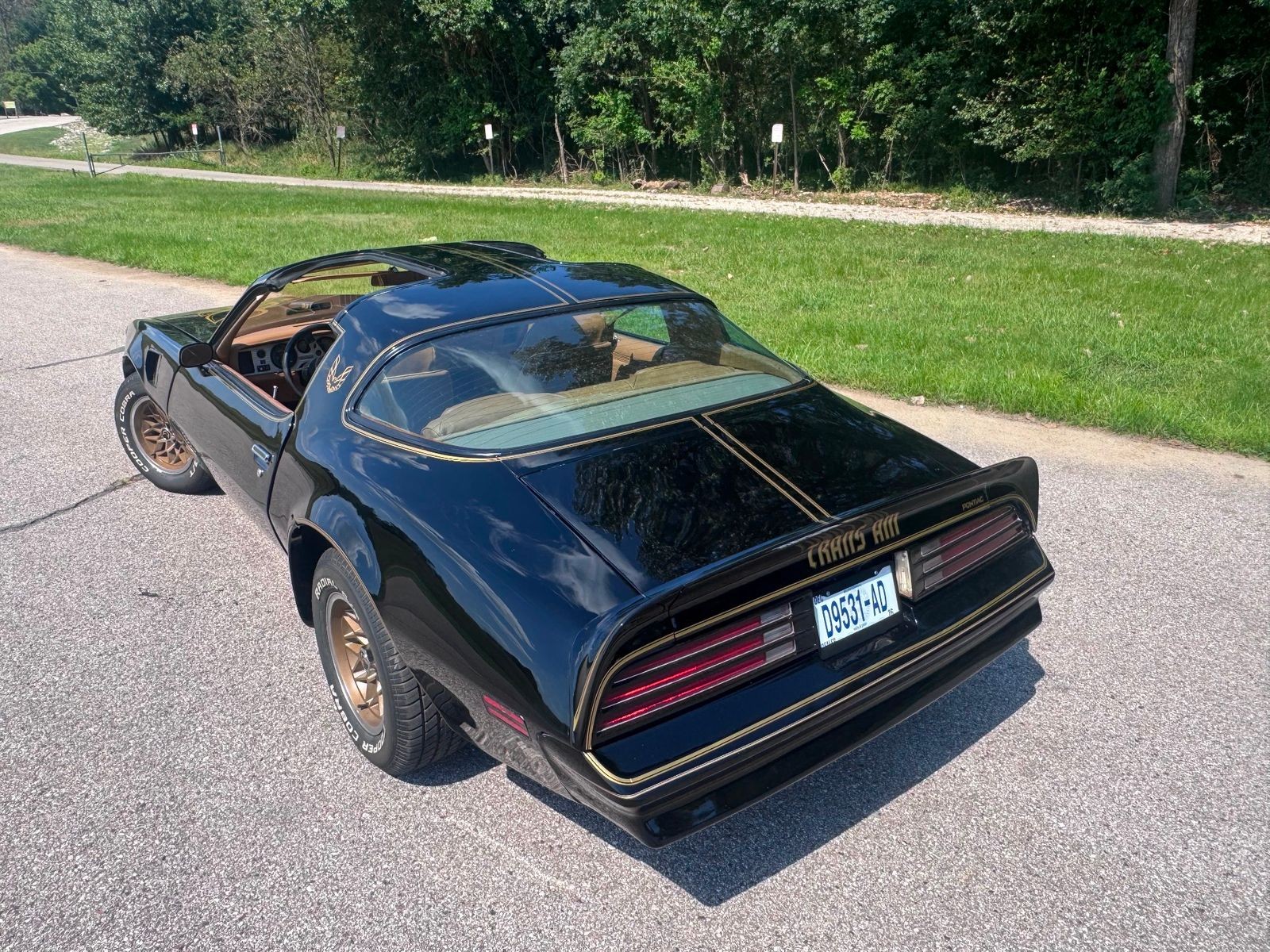 Pontiac-Firebird-1978-Coupe-4