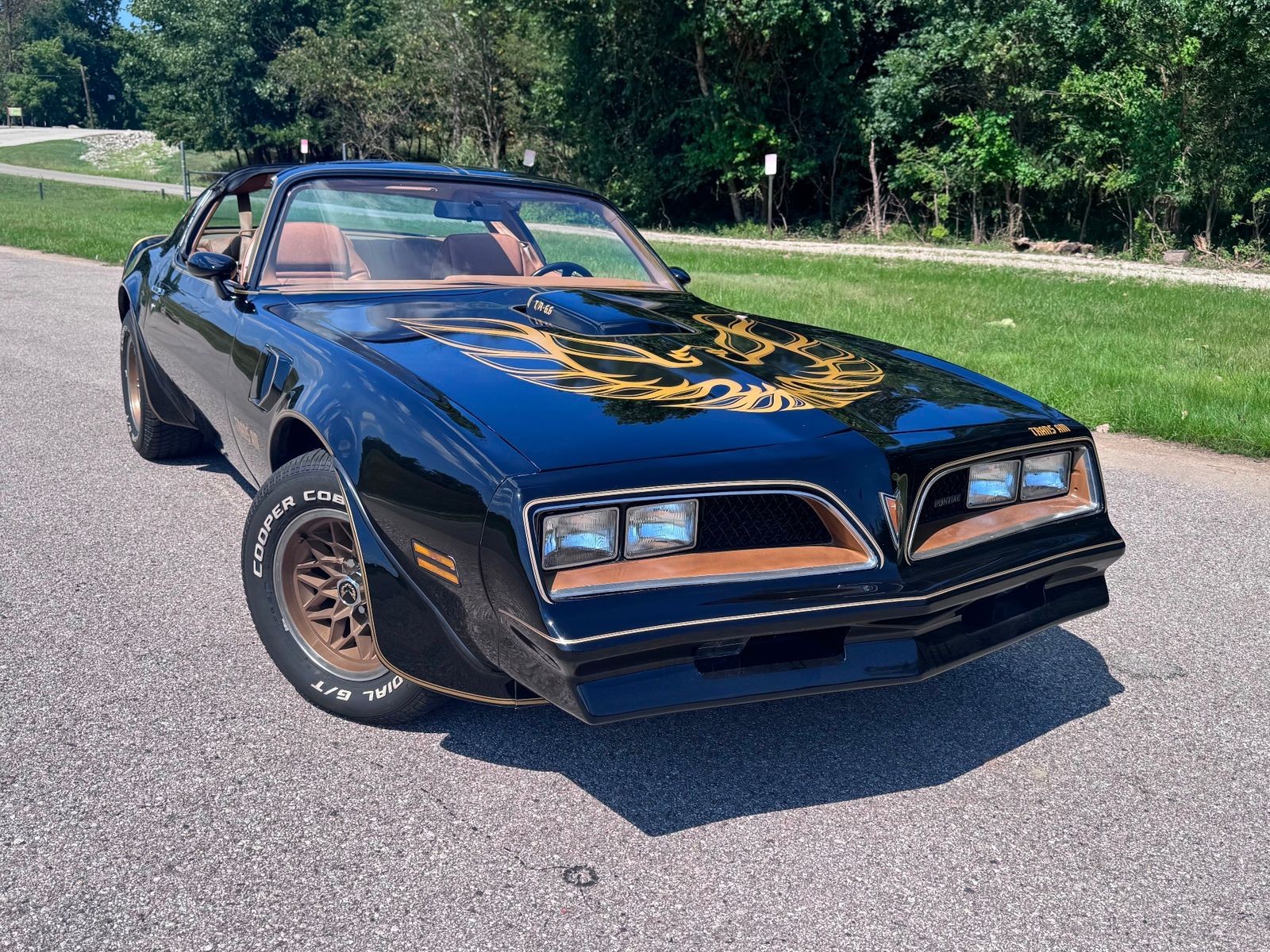 Pontiac-Firebird-1978-Coupe-6