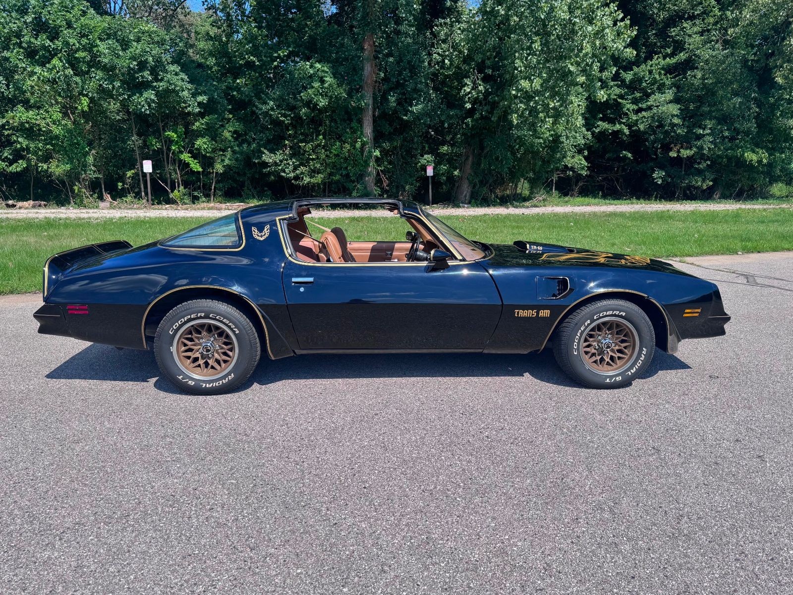 Pontiac-Firebird-1978-Coupe-7