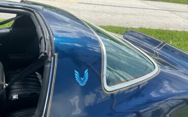 Pontiac-Firebird-1979-11