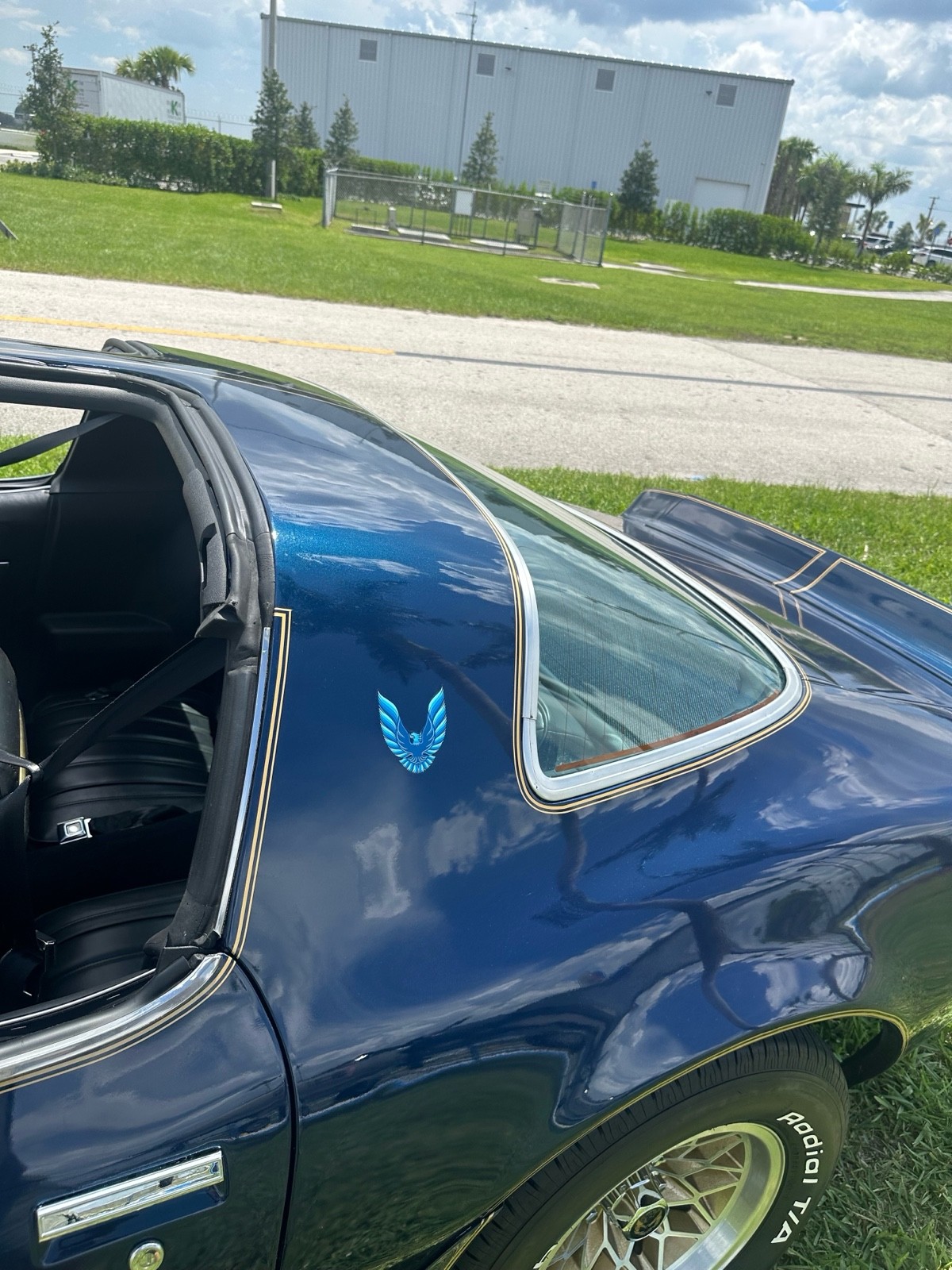 Pontiac-Firebird-1979-11