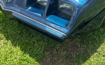 Pontiac-Firebird-1979-12