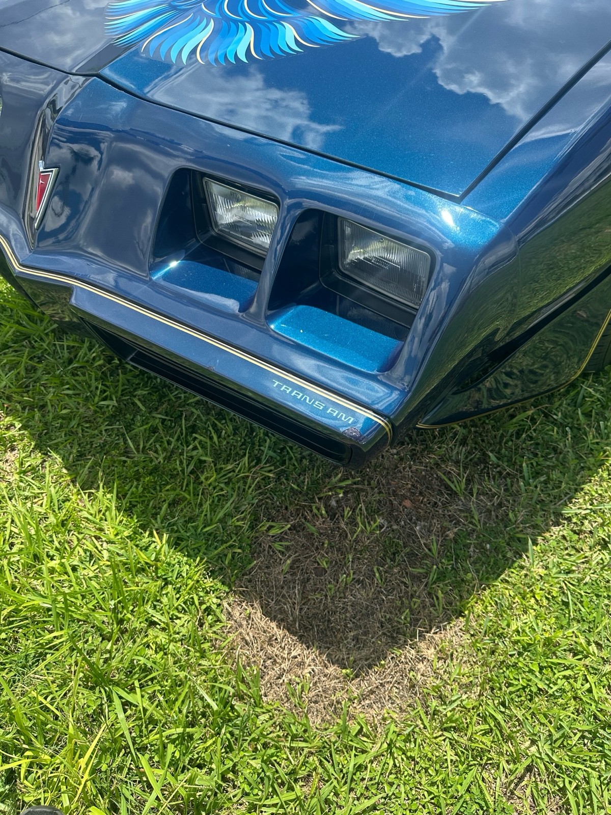 Pontiac-Firebird-1979-12