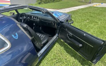 Pontiac-Firebird-1979-17