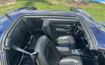 Pontiac-Firebird-1979-21
