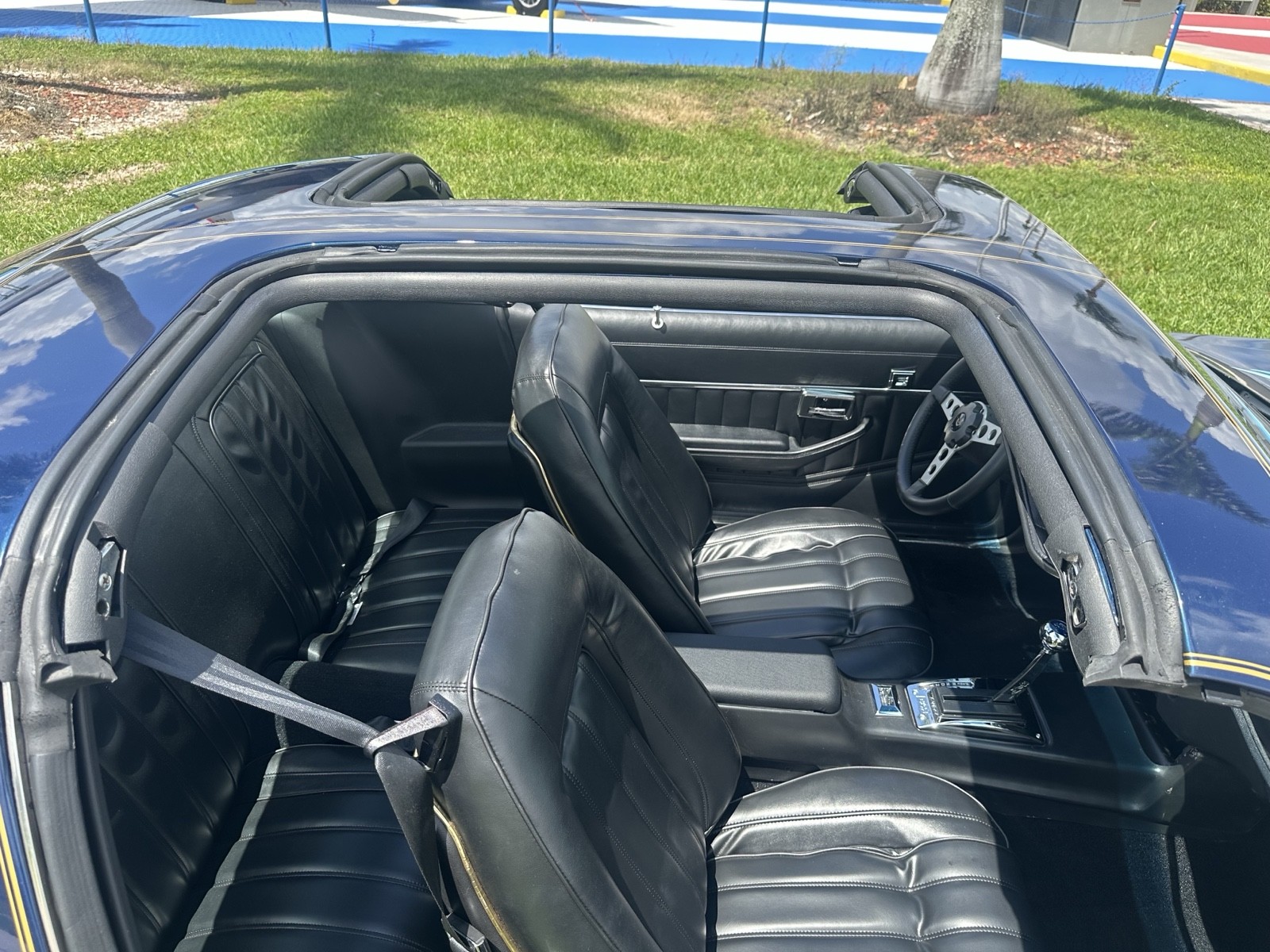 Pontiac-Firebird-1979-21
