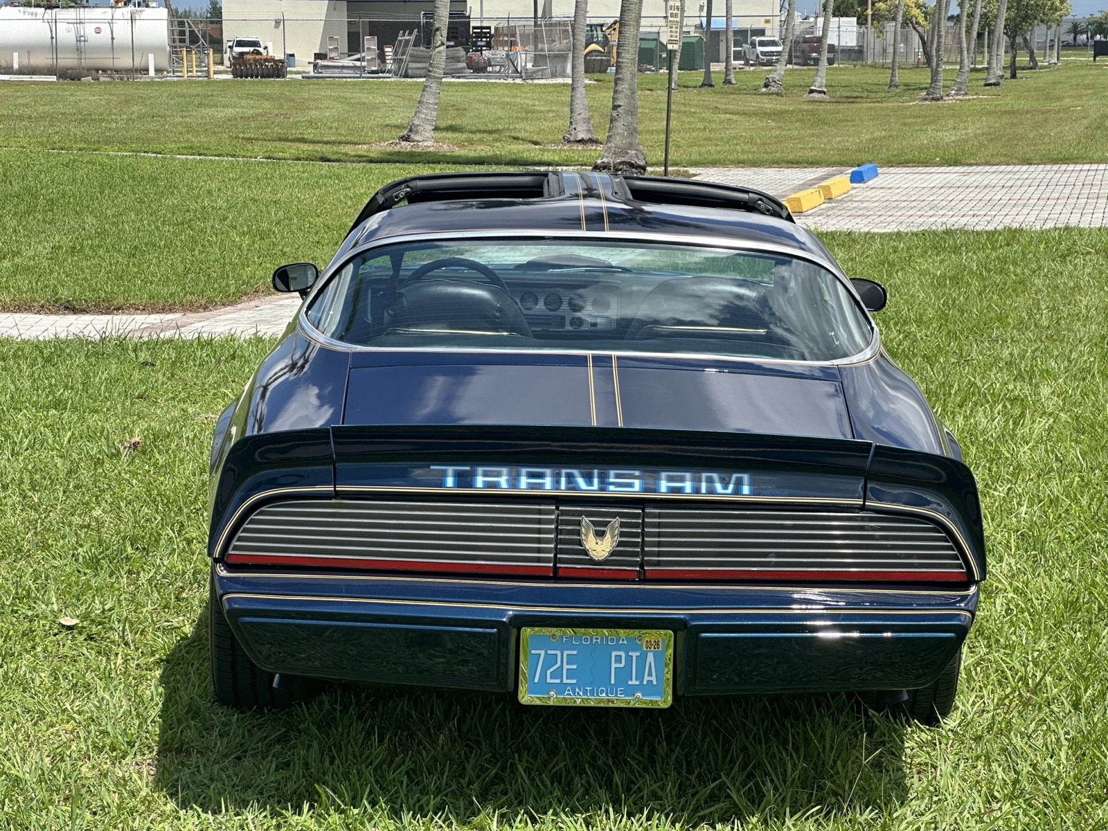 Pontiac-Firebird-1979-5