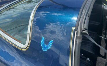Pontiac-Firebird-1979-8