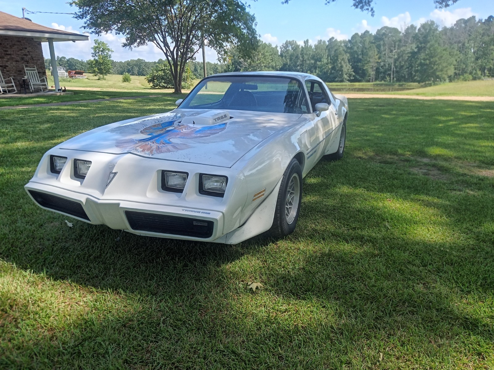 Pontiac-Firebird-1981-Coupe-1