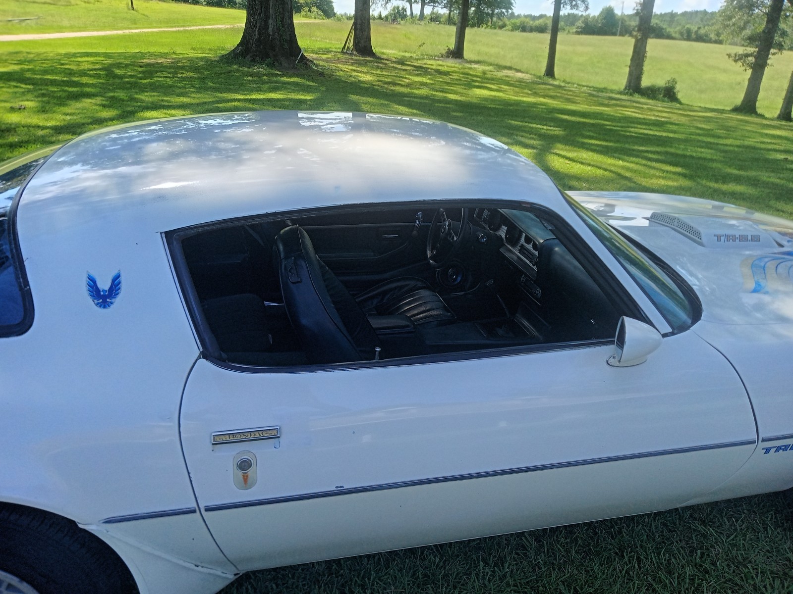 Pontiac-Firebird-1981-Coupe-14