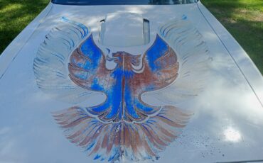 Pontiac-Firebird-1981-Coupe-36