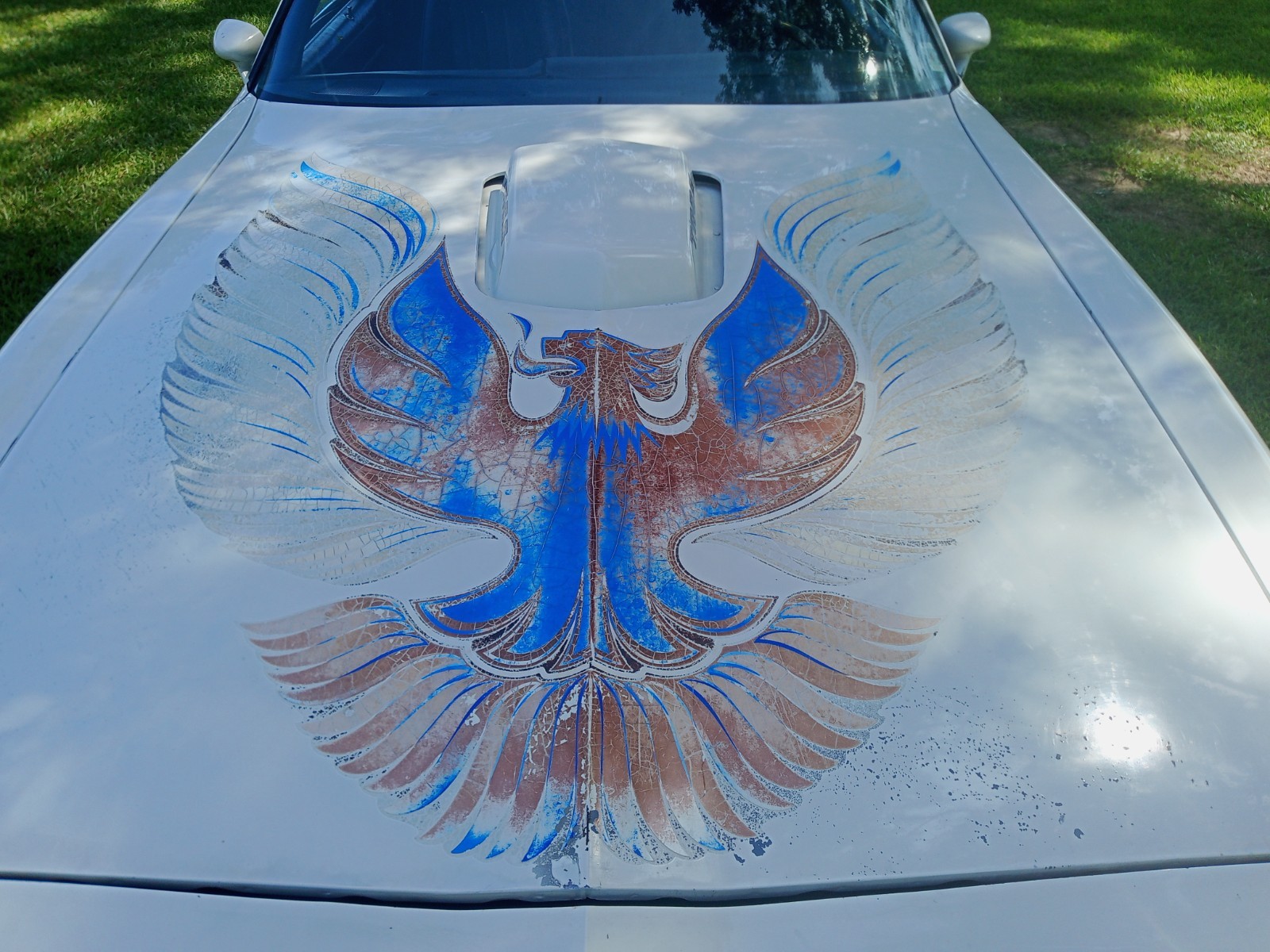 Pontiac-Firebird-1981-Coupe-36