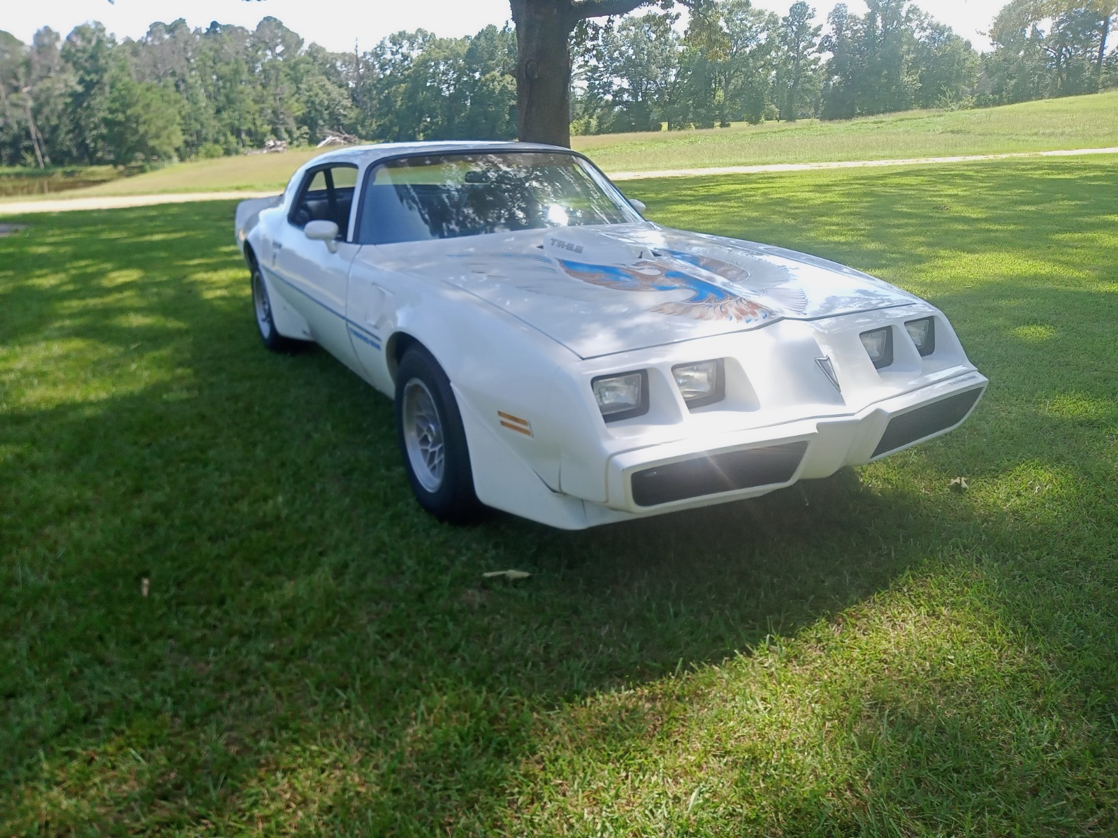 Pontiac-Firebird-1981-Coupe