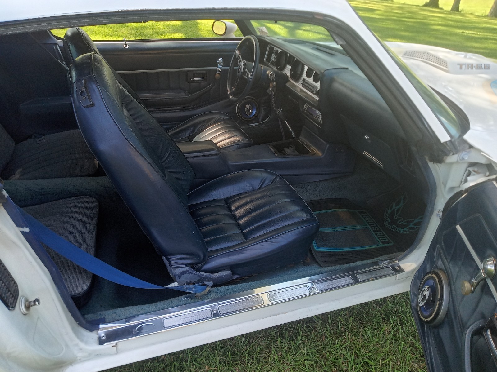 Pontiac-Firebird-1981-Coupe-6