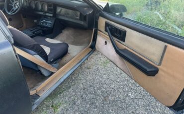 Pontiac-Firebird-1982-22