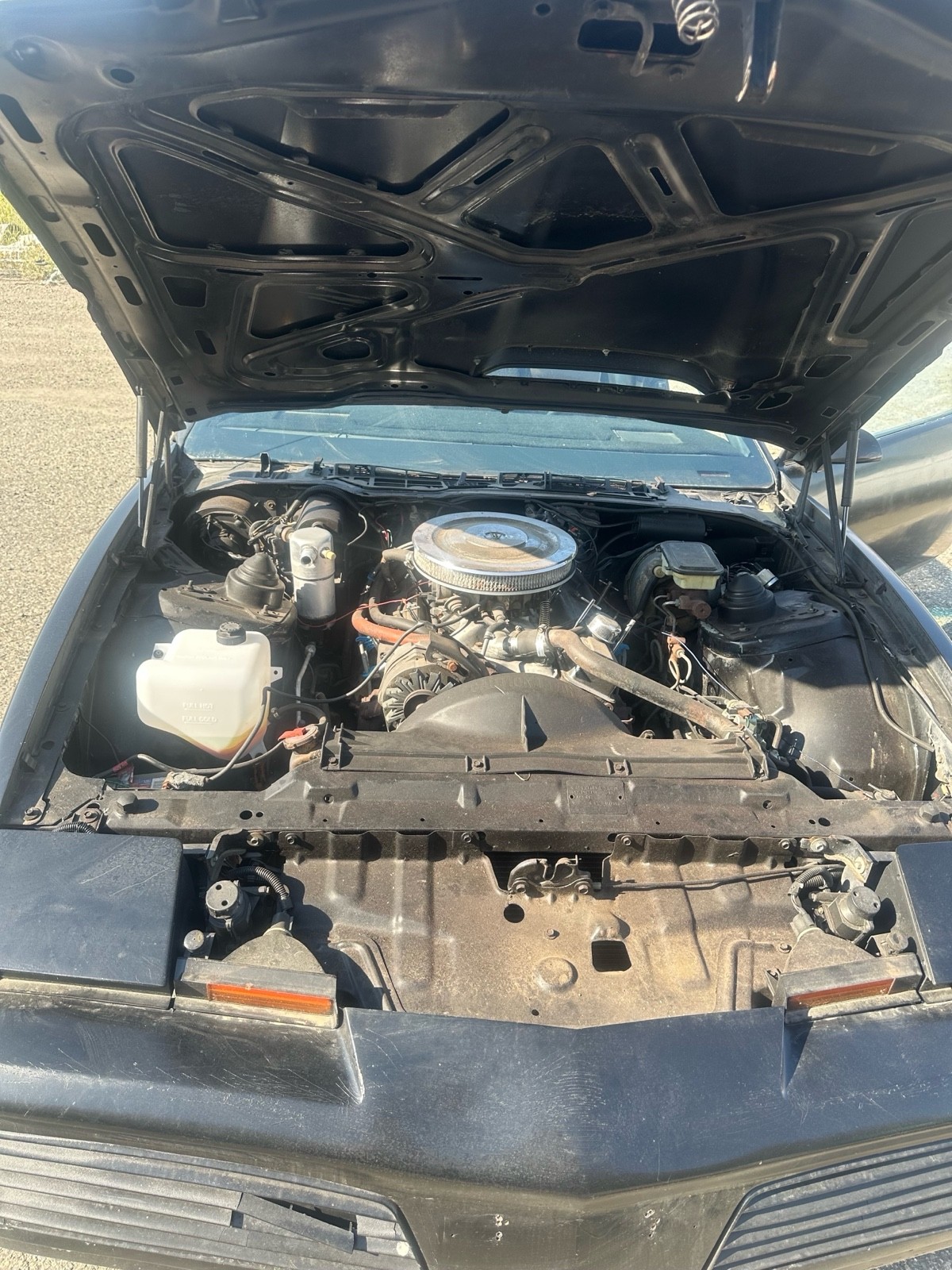 Pontiac-Firebird-1982-24