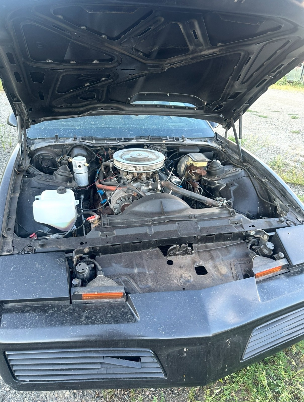 Pontiac-Firebird-1982-25