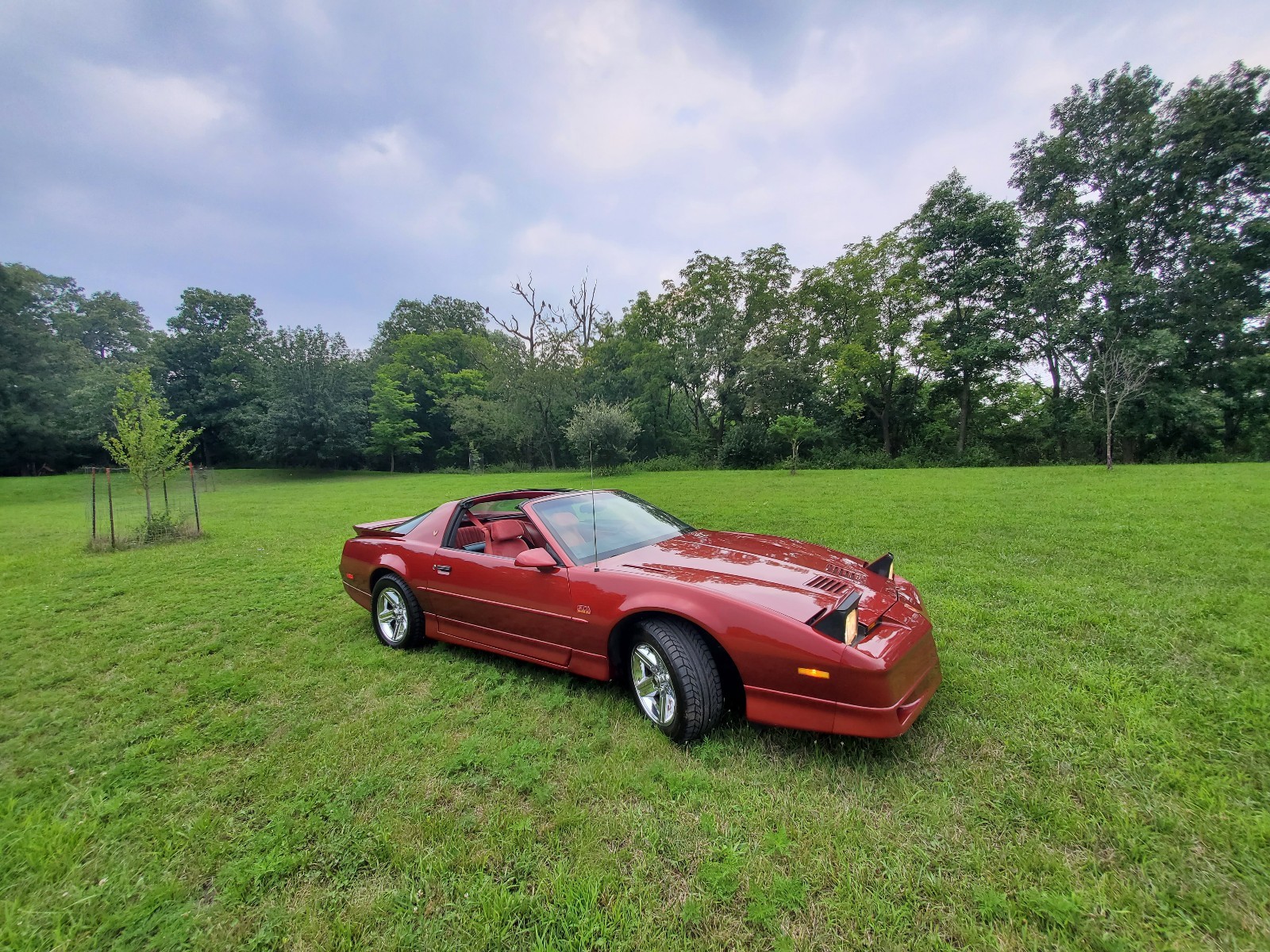Pontiac-Firebird-1987-Coupe-1