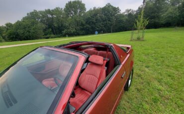 Pontiac-Firebird-1987-Coupe-10