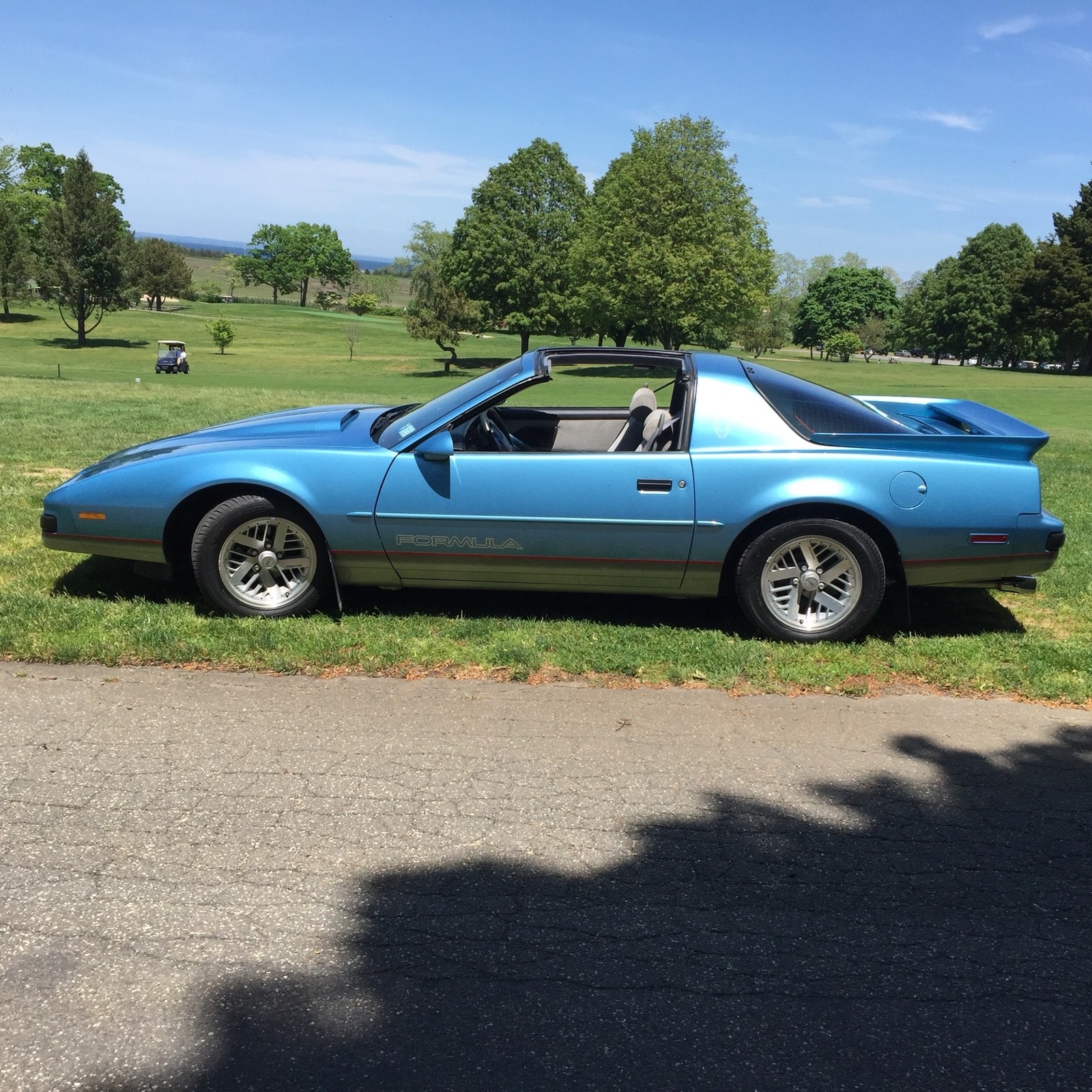 Pontiac-Firebird-1990-1