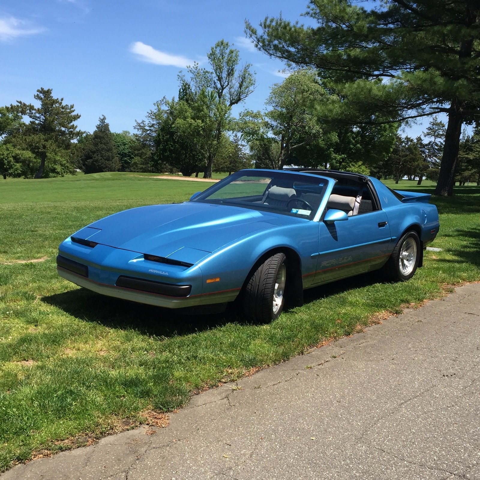 Pontiac-Firebird-1990-3