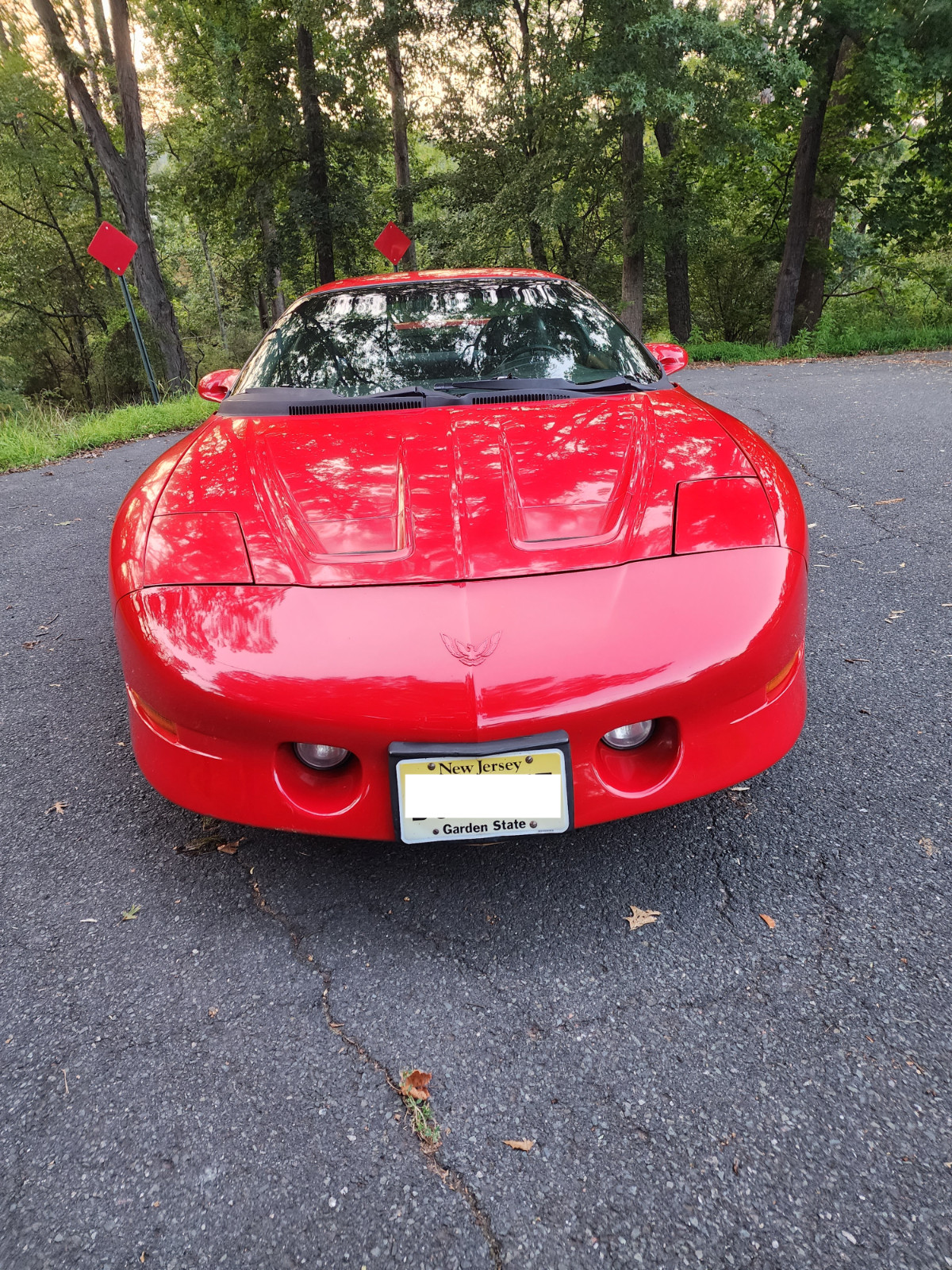 Pontiac-Firebird-1993-Coupe-1