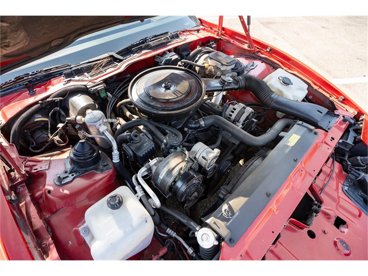 Pontiac-Firebird-formula-1988-Bright-Red-Gray-36