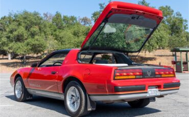 Pontiac-Firebird-formula-1988-Bright-Red-Gray-8
