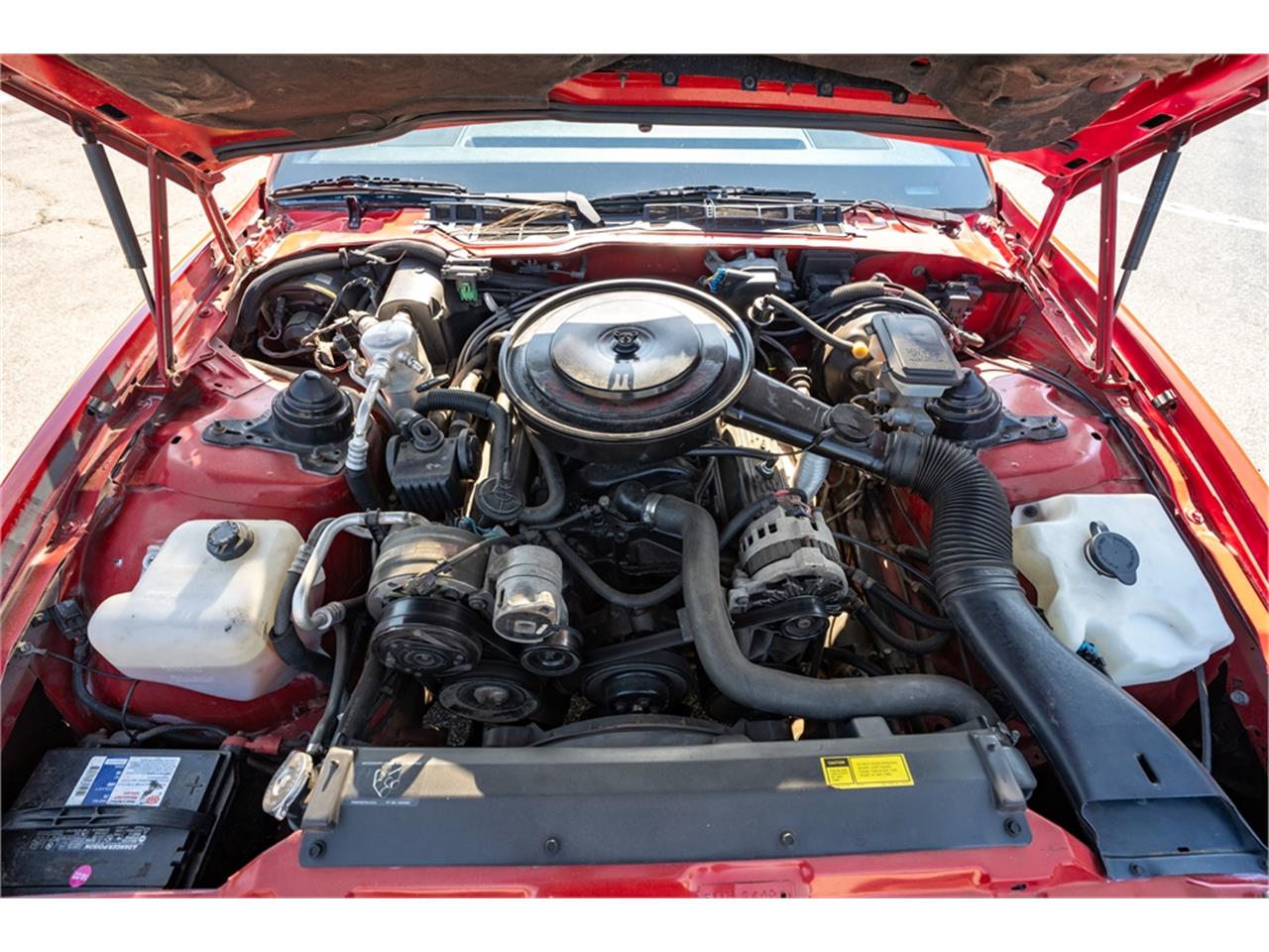 Pontiac-Firebird-formula-1988-Bright-Red-Gray-82