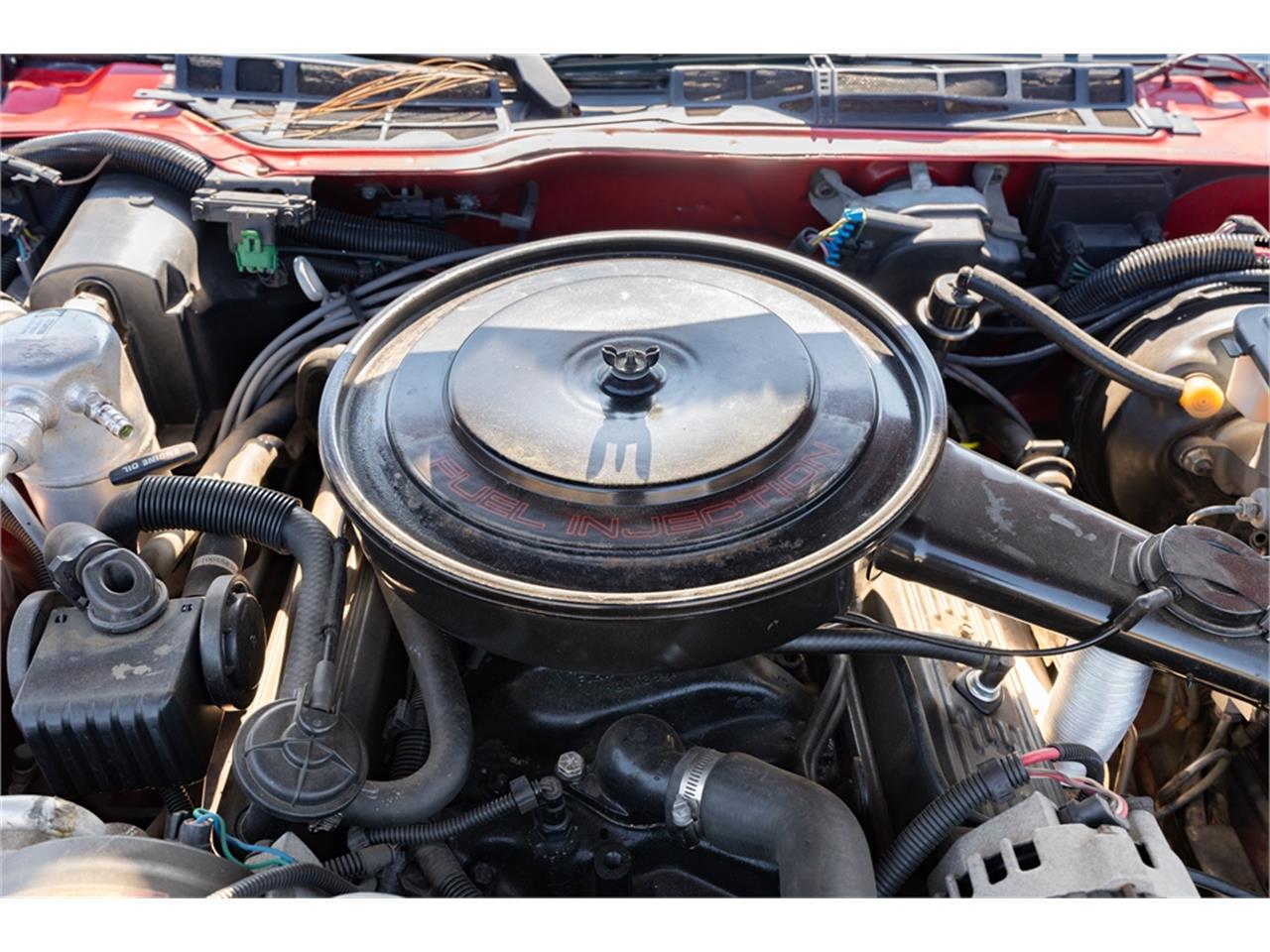 Pontiac-Firebird-formula-1988-Bright-Red-Gray-83