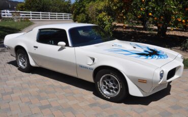 Pontiac-Firebird-trans-am-1973-White-Black-Deluxe-1