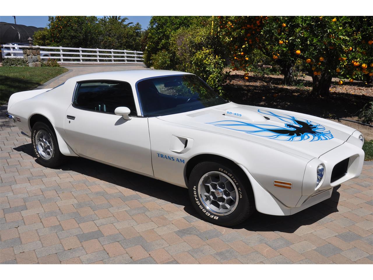 Pontiac-Firebird-trans-am-1973-White-Black-Deluxe-1
