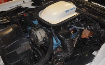 Pontiac-Firebird-trans-am-1973-White-Black-Deluxe-19