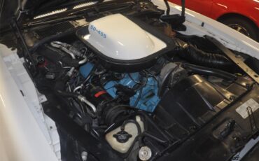 Pontiac-Firebird-trans-am-1973-White-Black-Deluxe-20
