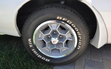 Pontiac-Firebird-trans-am-1973-White-Black-Deluxe-27