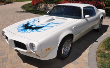 Pontiac-Firebird-trans-am-1973-White-Black-Deluxe-28