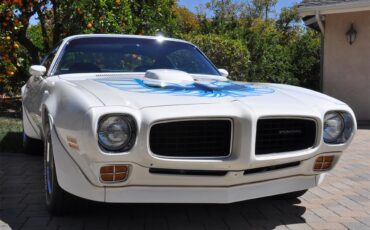 Pontiac-Firebird-trans-am-1973-White-Black-Deluxe-29