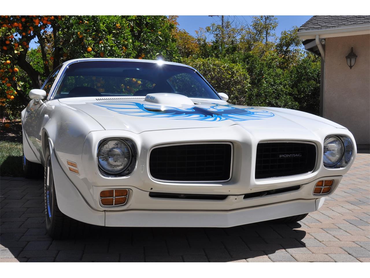 Pontiac-Firebird-trans-am-1973-White-Black-Deluxe-29