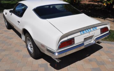 Pontiac-Firebird-trans-am-1973-White-Black-Deluxe-31