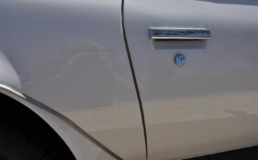 Pontiac-Firebird-trans-am-1973-White-Black-Deluxe-33