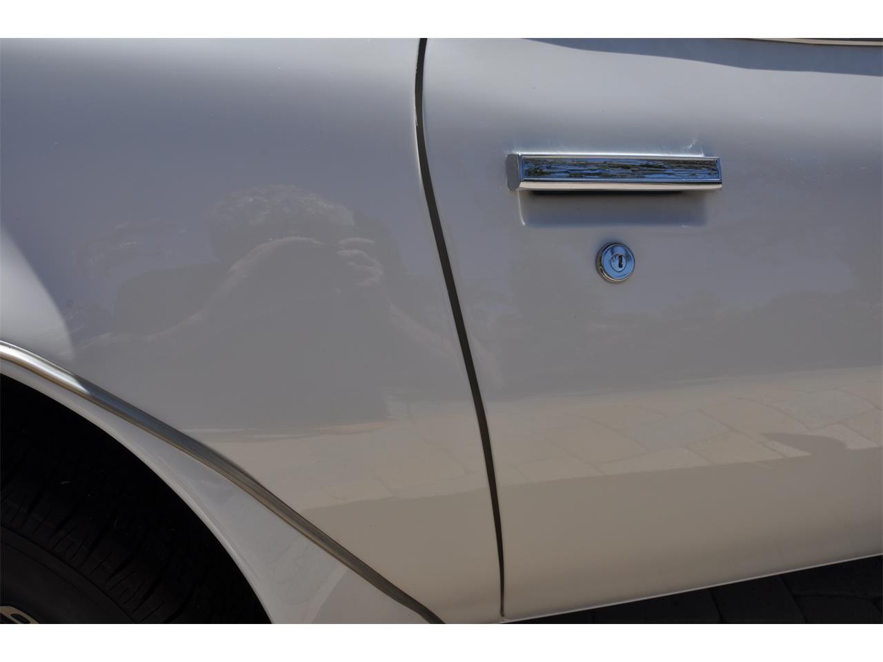 Pontiac-Firebird-trans-am-1973-White-Black-Deluxe-33