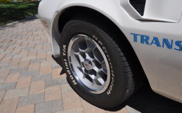 Pontiac-Firebird-trans-am-1973-White-Black-Deluxe-35